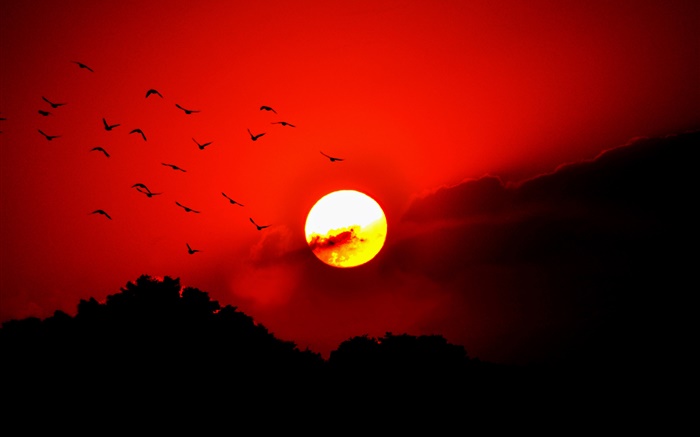 Красное небо, облака, закат, свечение, птицы, силуэт обои,s изображение