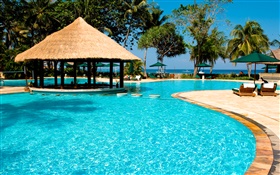 Курорт, пальмы, бассейн, дом, экзотические HD обои
