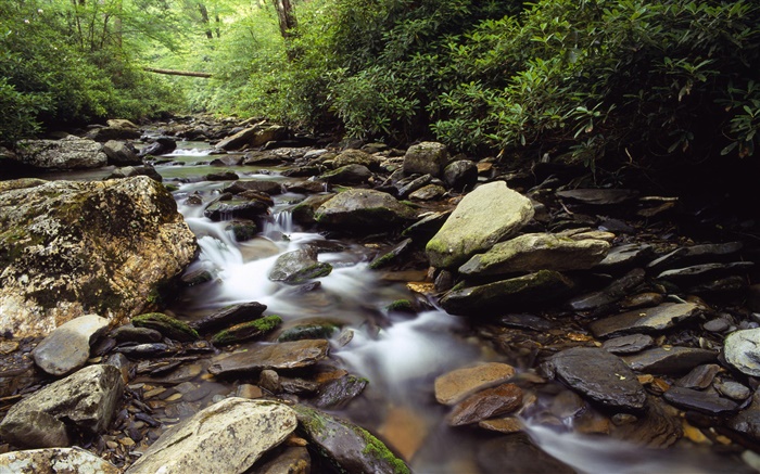 Скалы, камни, ручей, ручей, куст обои,s изображение