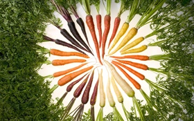 Овощи, морковь, различные цвета, круг HD обои