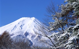 Белый мир, зима, снег, гора Фудзи, Япония