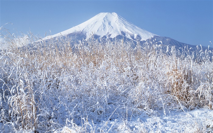 Зима, трава, снег, гора Фудзи, Япония обои,s изображение