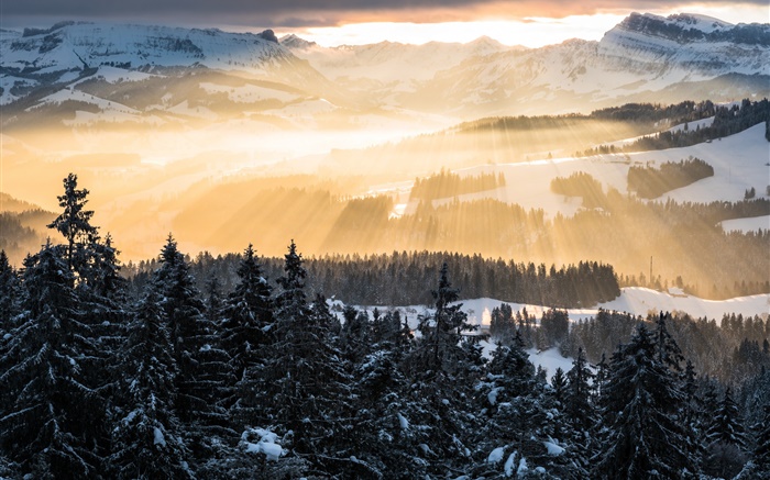 Зима, горы, утро, солнечные лучи, деревья, снег обои,s изображение