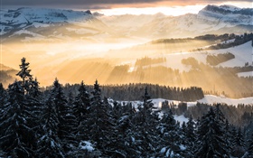 Зима, горы, утро, солнечные лучи, деревья, снег HD обои