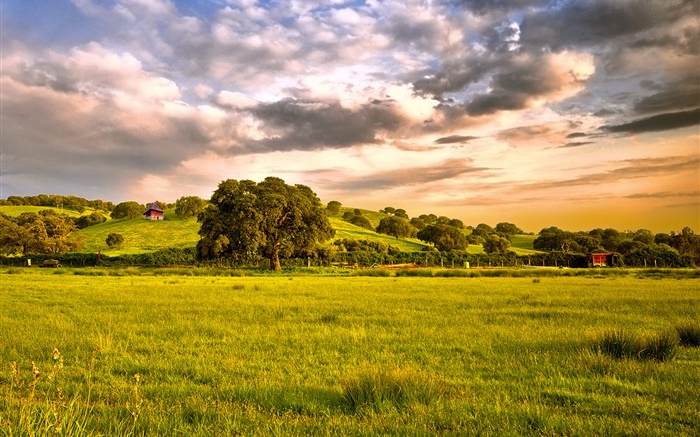 Сельская местность, поля, трава, деревья, облака, закат обои,s изображение