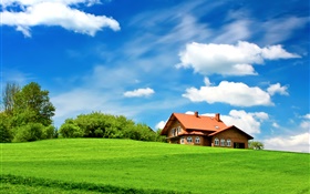 Зеленая трава, деревья, дом, облака, голубое небо