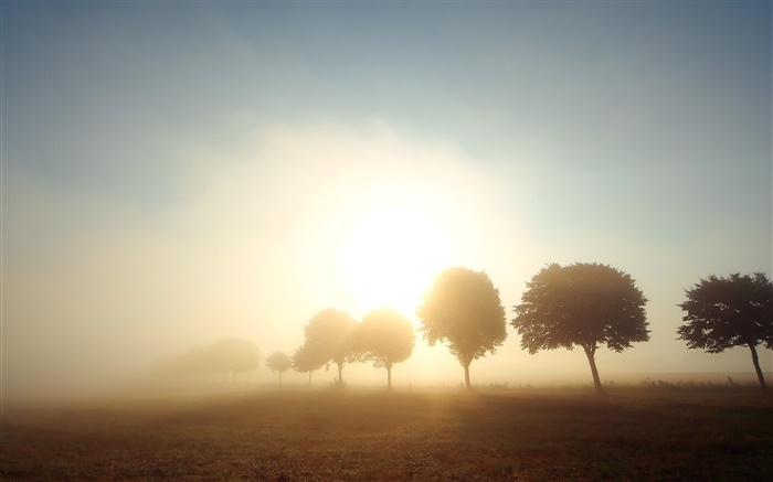 Утро, рассвет, деревья, поля, туман, восход солнца обои,s изображение
