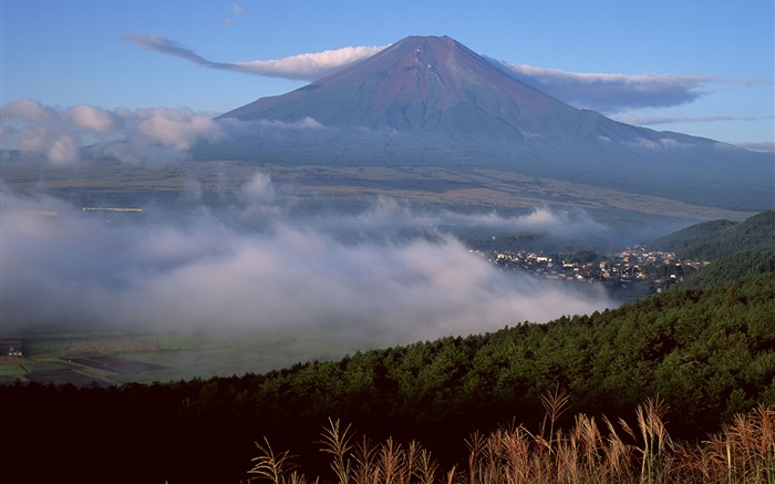 Гора Фудзи, Япония, город, лес, трава, туман, облака обои,s изображение