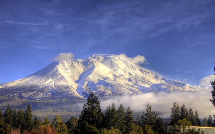 Горы, снег, деревья, облака, Шаста, Калифорния, США обои,s изображение