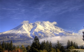 Горы, снег, деревья, облака, Шаста, Калифорния, США HD обои