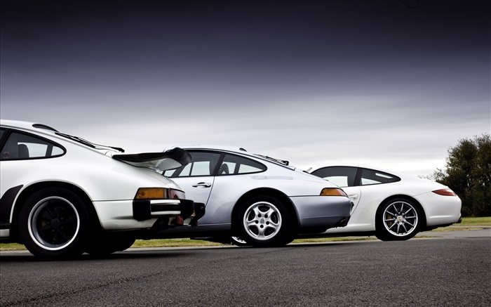 Porsche автомобилей вид сзади обои,s изображение