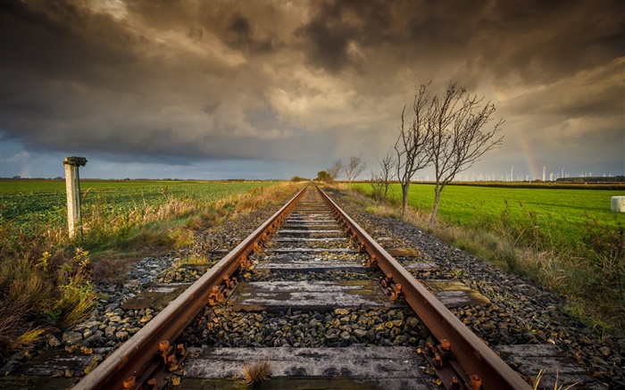 Железная дорога, деревья, облака, закат обои,s изображение