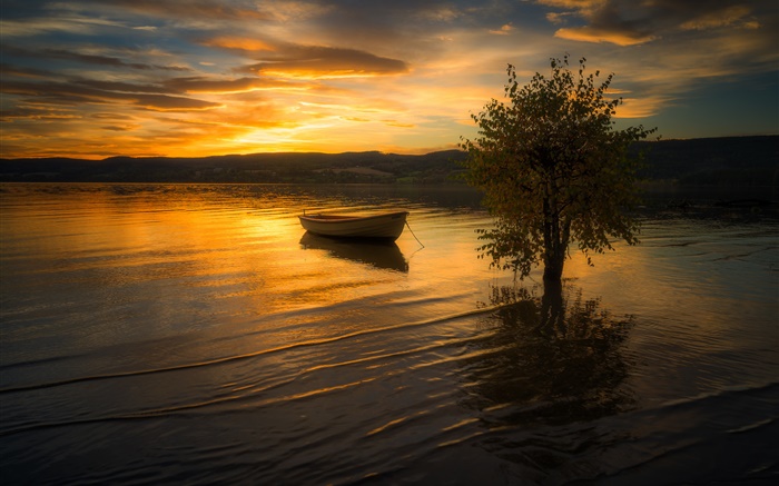 Закат, облака, река, дерево, лодка обои,s изображение