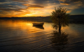 Закат, облака, река, дерево, лодка HD обои