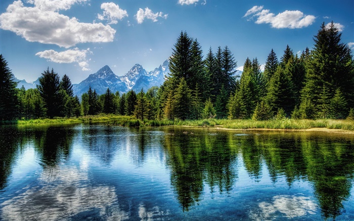 Деревья, озеро, голубое небо, облака, отражение воды обои,s изображение