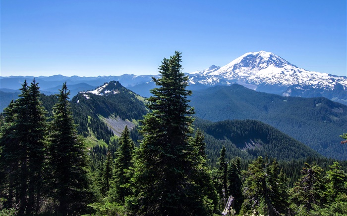 США, Аляска, лес, горы, голубое небо обои,s изображение