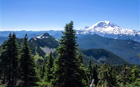 США, Аляска, лес, горы, голубое небо HD обои