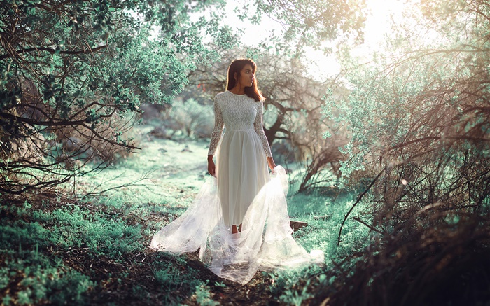 Белое платье девушки в лесу, солнце, блики обои,s изображение