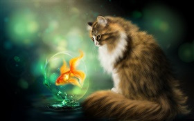 Кошка и золотая рыбка, искусство рисования HD обои