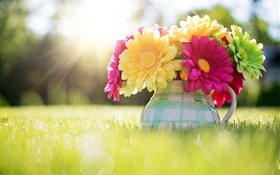 Цветы макро, гербера, ваза, трава, солнце HD обои
