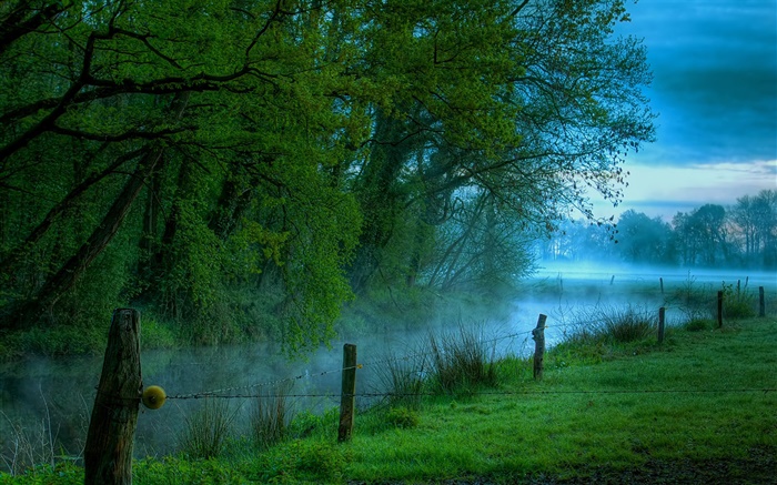 Утро природа пейзаж, луг, трава, река, туман обои,s изображение