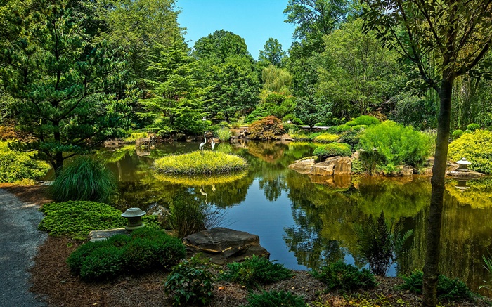 Гиббс Gardens, США, пруд, деревья, трава обои,s изображение
