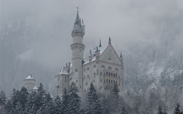 Нойшванштайн, замок, горы, деревья, снег обои,s изображение