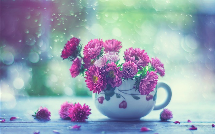 Розовые цветы, чашка, дождь обои,s изображение