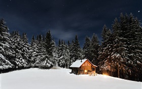 Зима, снег, деревья, ночь, хата