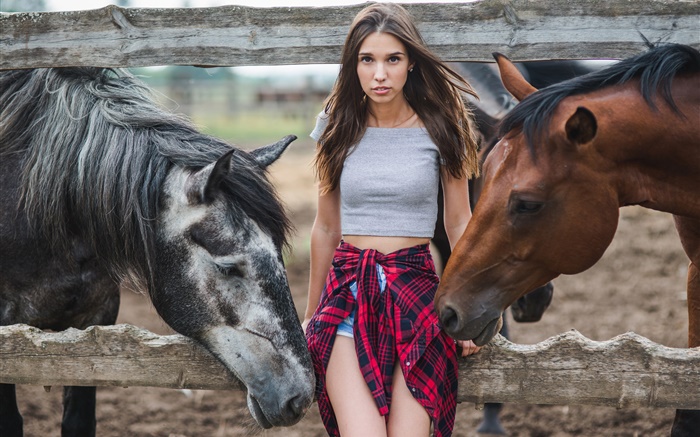 Девочка и две лошади обои,s изображение
