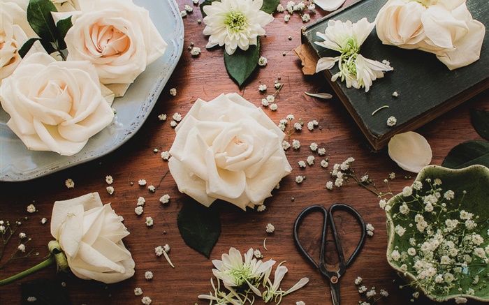 Светло-розовые розы цветы, стол, ножницы обои,s изображение