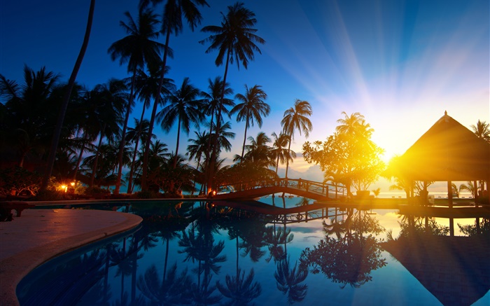 Пальмы, дом, восход солнца, солнечные лучи, морская вода, Таиланд обои,s изображение