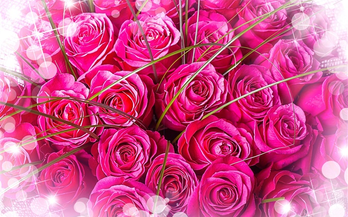 Розовые розы, букет, яркий свет обои,s изображение