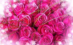 Розовые розы, букет, яркий свет HD обои
