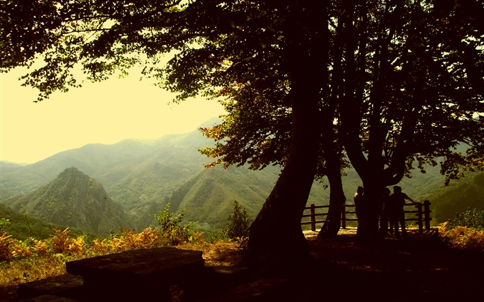 Деревья, горы, закат обои,s изображение