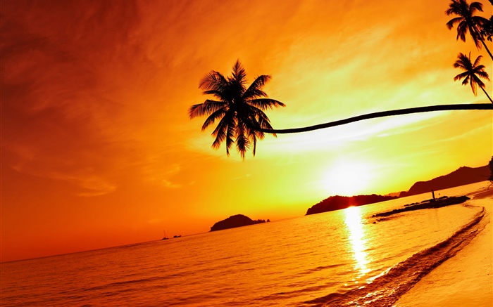 Тропический пляж закат, пальмы, Таиланд обои,s изображение