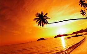 Тропический пляж закат, пальмы, Таиланд HD обои