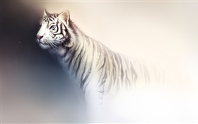 Белый тигр акварель HD обои