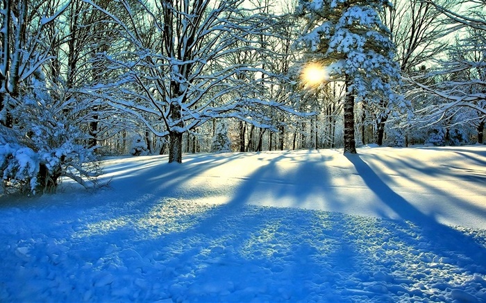 Зима, снег, деревья, солнечные лучи обои,s изображение
