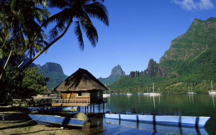 Курорт, дом, пальмы, море, горы обои,s изображение