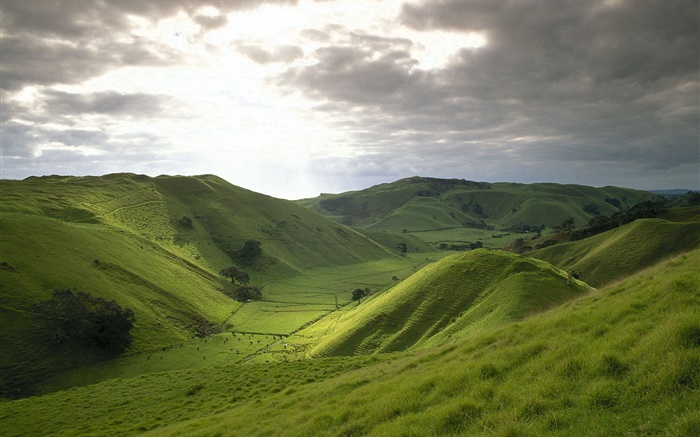 Горы, зеленый, трава, поле, облака, солнце обои,s изображение