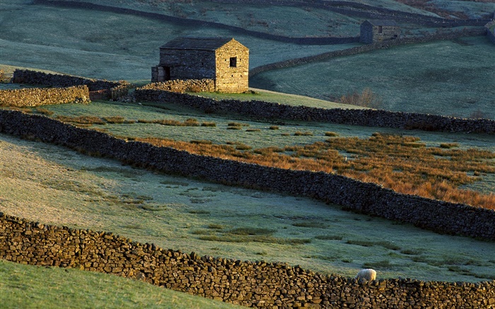 Каменный дом, забор, трава, овцы обои,s изображение