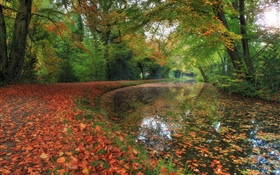 Осень, река, деревья, лес
