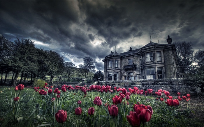 Красные тюльпаны, дом, облака, сумерки обои,s изображение