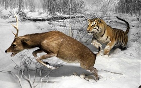 Охотничий охотник на тигра