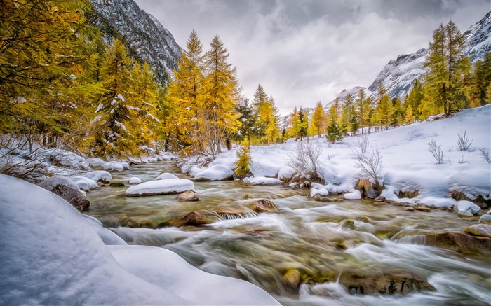 Зима, снег, деревья, ручей обои,s изображение