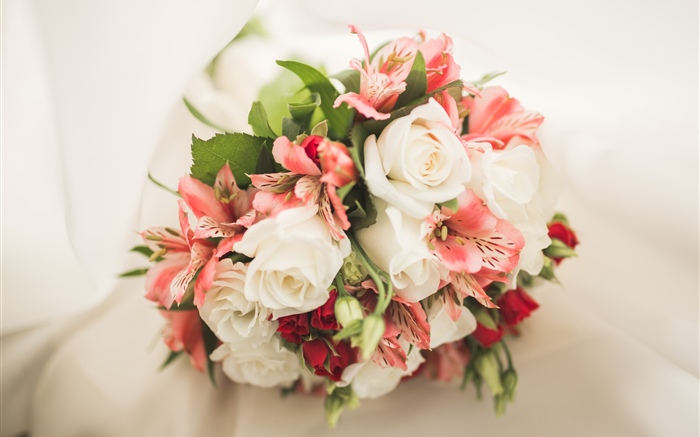 белая роза и розовая лилия обои,s изображение
