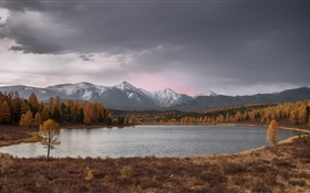 Алтай, озеро, деревья, горы, осень HD обои