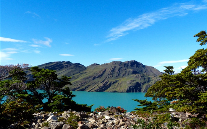 Аргентина, Патагония, озеро, горы, деревья обои,s изображение