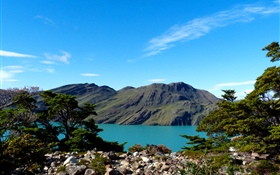 Аргентина, Патагония, озеро, горы, деревья HD обои